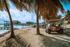 Beach Tree Cart