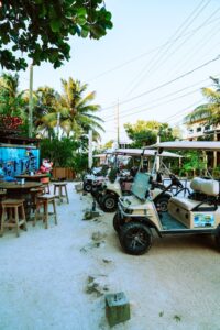 Read more about the article What are the best ways to get around Hopkins Belize?