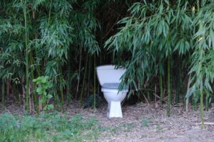 Read more about the article Can I Flush Toilet Paper in Belize?