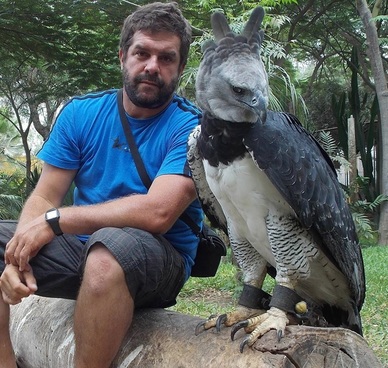 Read more about the article Exploring Belize’s Harpy Eagles
